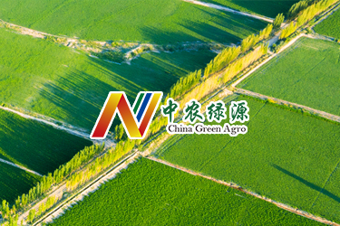 中農綠源網站建設 